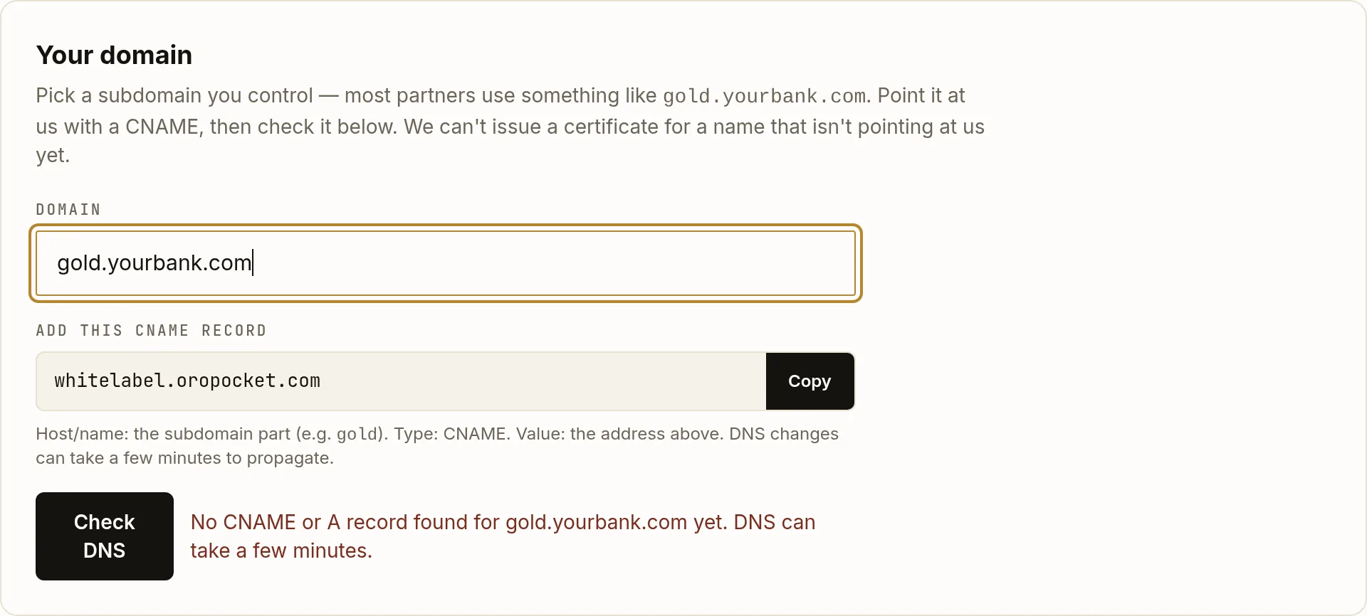 The Your domain card after running a DNS check, showing a red message reading that no CNAME or A record was found for the domain yet and that DNS can take a few minutes.